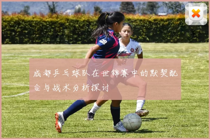 成都乒乓球队在世锦赛中的默契配合与战术分析探讨